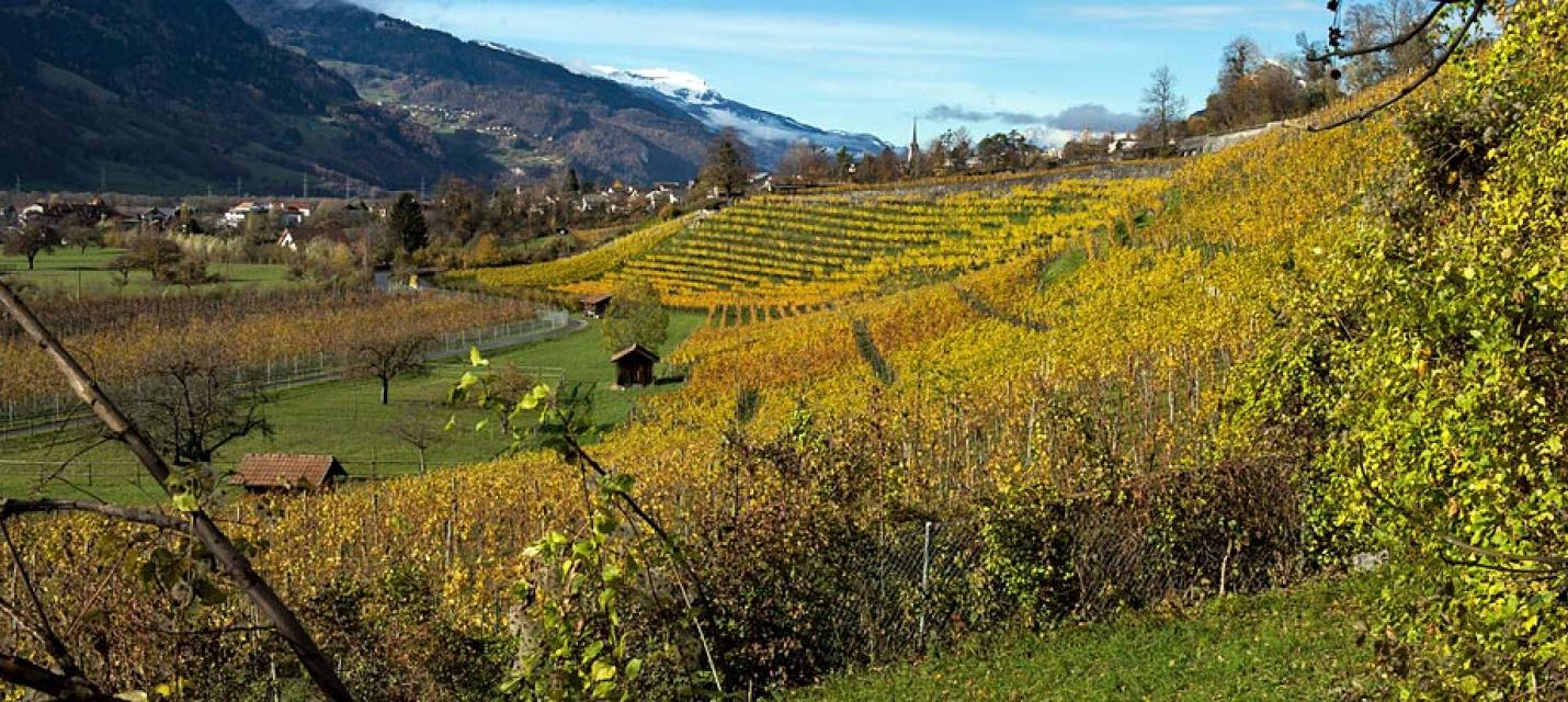 &copy; Christoph Meier