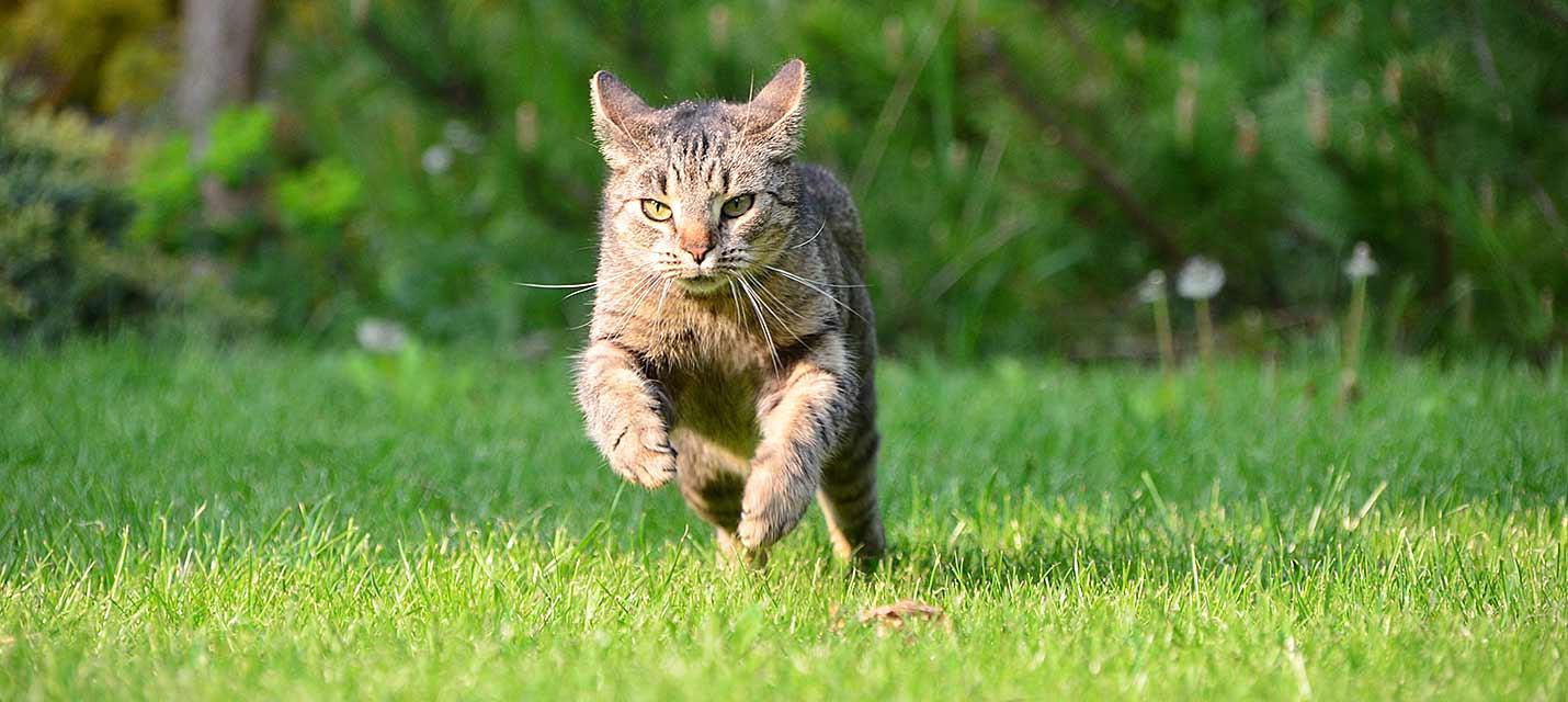 Chat &copy; Anne Garti, pixelio.de