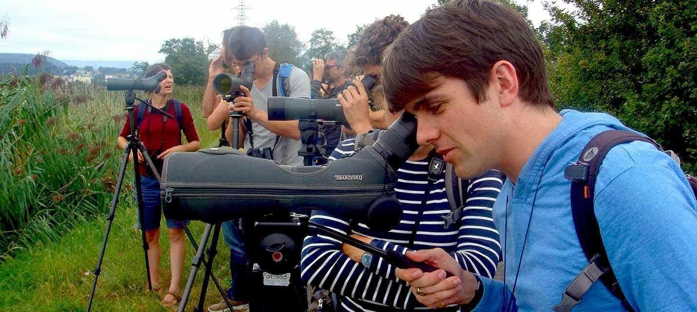 V&ouml;gel beobachten