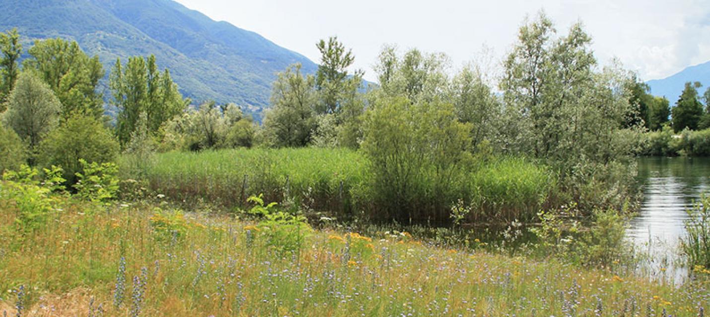 Bolle di Magadino &copy; Stefan Bachmann