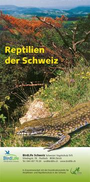 Feldf&uuml;hrer Reptilien der Schweiz