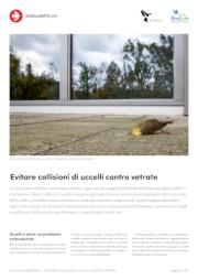 Evitare collisioni di uccelli contro vetrate