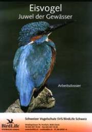 Arbeitsdossier Eisvogel