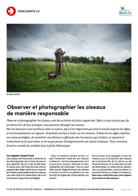 Observer et photographier les oiseaux de mani&egrave;re responsable
